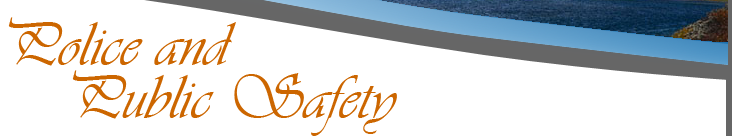 Police and Public Safety
